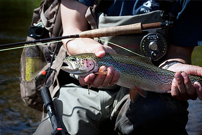 Alaska sport fishing