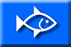 Image of a fish