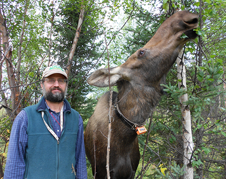 Wildlife biologist John Crouse at the Moose Research Center on the Kenai Peninsula ADFampG photo