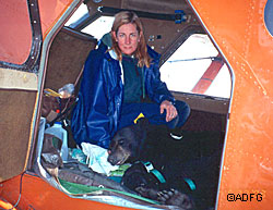 Bear in a Beaver Beckmen helped with the relocation of this black bear monitoring the bears status during the flight