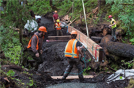 Volunteers make improvements to the Treadwell Ditch Trail on Douglas Island near Juneau