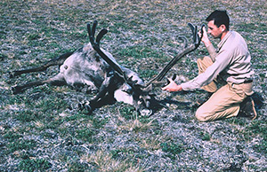 Dave Klein in 1957 on St Matthew Island Dave Klein Photograph Collection Courtesy of Karen Brewster