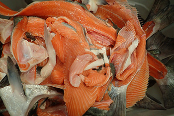 Salmon ldquoframesrdquo skeletons collars fins and skin scraps formerly waste that processors paid to dispose now used to make food products for people and pets