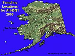 Cape Romanzof is labeled on the left edge of Southwest Alaska Wild birds will be sampled at a number of locations in Alaska this year