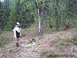 CiCi Chen records information at a bear lure site in the 40mile country north of Tok Photo by Al Keech