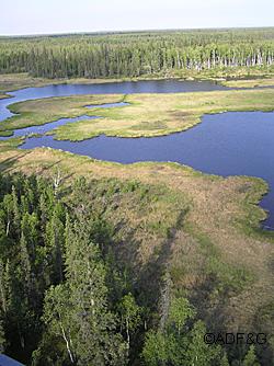 Flying an aerial survey of the Minto Flats State Game Refuge The refuge about 35 miles west of Fairbanks encompasses close to 500000 acres of diverse habitat