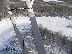 Raptor nests stand out in winter with snow in the bowl of the stick nest and no leaves to obscure the nest