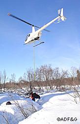 A helicopter is outfitted with a scale and sling is used to weigh a calf in Game Management Unit 16B