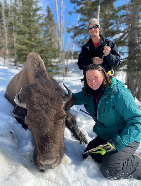 Wildlife biologist Chris Brockman from Palmer joined Hatcher to help with the capture effort Brockman has a lot of capture experience  and he also grew up on a bison farm in Palmer