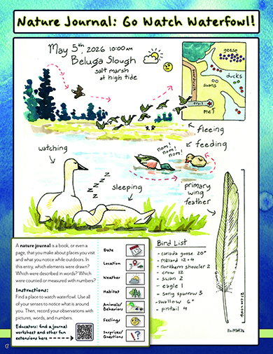 The back cover of the issue includes an example journal entry and other beautiful watercolor artwork from nature journalextraordinaire and artist Kim McNett to bring the world of waterfowl to life
