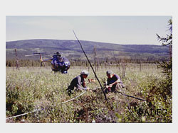 Gretchen Roffler USGS and Darien McElwain University of Vermont sample vegetation on a recent burn