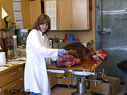 Karen Mitchell on duty