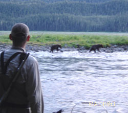 A fisherman watches two subadult brown bears at Sweetheart Creek in Southeast Alaska Photo by Riley Woodford