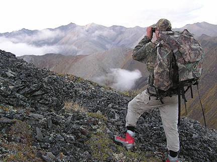 Tim Bowman surveys the landscape on a Brooks Range sheep hunt