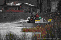 Rotenone is diluted and pumped into the lake from a motorboat