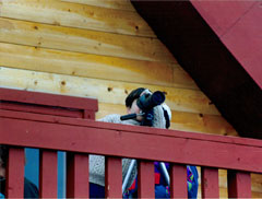 A swan viewer at Swan Haven  the MClintock Bay viewing area