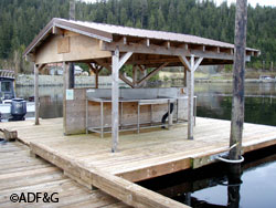 The Thorne Bay Fish Cleaning Station Photo by Paul Cyr