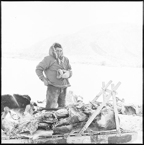 Solliersquos father Clyde Hugo with a dogsled loaded with animal hides at Anaktuvuk Pass Alaska in 1962 Ward Wells Collection Anchorage Museum B1983091S3421021