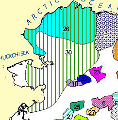 Northwest Alaska with the Seward Peninsula on the left The range of the Western Arctic Caribou herd is indicated with green lines The herd has occasionally ranged west far enough to contact domestic reindeer and thousands have run off with their wild cousins