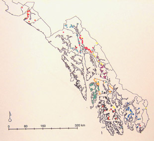 Map showing the nine different genetic clusters of black bears in Southeast Alaska The pink dots in the Yakutat area to the north appear similar to the red dots around Juneau