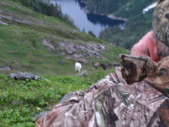 Doug Larsen glasses a goat at dawn