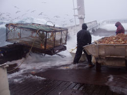 Crew members brace themselves as a wave comes aboard the FV emNorthwesternem while sorting crab during the 20112012 snow crab season in the Bering Sea Photo credit Tim Zeppelin ADFampG Commercial Fisheries Division Dutch Harbor Crab Observer Program