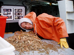 The author posing with a large male and numerous juvenile snow crab during a Bering Sea research cruise Photo credit Joel Webb ADFampG Commercial Fisheries Division Juneau