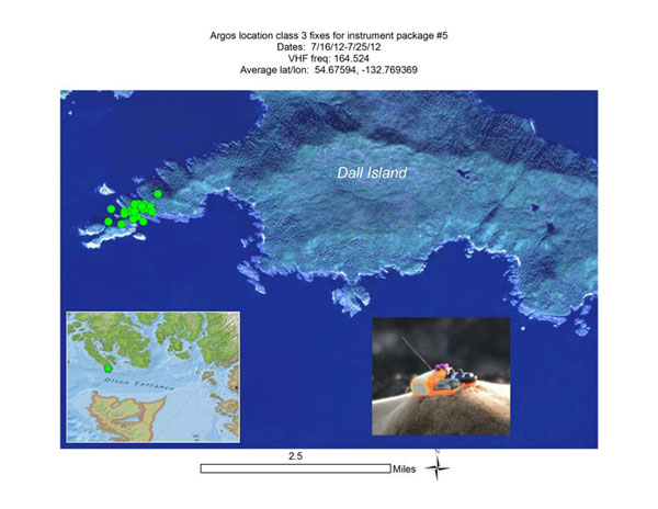 The quottagquot is an array of instruments glued to the hair on a sea lion The photo shows the GPS fixes on the tag and the map shows the location on the tip of Dall Island