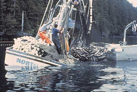 A heavily loaded seiner ADFampG