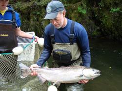 Kodiak Biologist Len Schwarz retired and Student Intern Aaron Nymeyer examining a female king salmon captured for brood stock from Monashka Creek by seine net in July 2007   Photo ADFampG