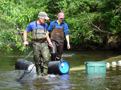 Kodiak Biologist Donn Tracy and Student Intern Aaron Nymeyer using quotbrood tubesquot to individually transport king salmon captured from Monashka Creek in July 2007 Photo ADFampG