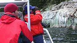 Lauri Jemison scouts the haulout on an earlier trip
