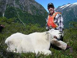State wildlife biologist Doug Larsen with a captured mountain goat north of Juneau Kevin White photo