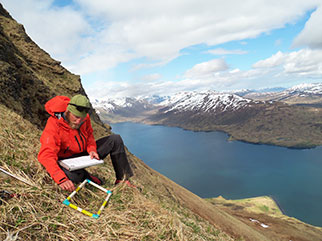 USFWS biologists with the Kodiak National Wildlife Refuge are studying the plant communities and ecosystem to learn more about the effect goats are having on their habitat McCrea Cobb photo