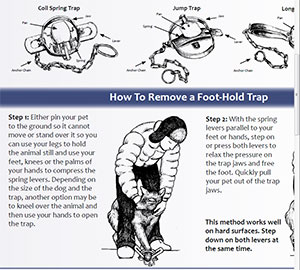 Fish and Game has created a handy onepage brochure that details how to release a dog from a trap and offers basic information on how different traps work Itrsquos available online or in print at area offices