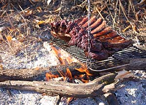 Caribou ribs over the fire