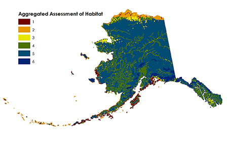 ADFampG developed this aggregated map with the following habitat values  1Terrestrial species of concern comprised of Threatened and Endangered speciesbr 2 Other species identified in Alaskarsquos Comprehensive Wildlife Conservation Strategybr 3 Aquatic species of concern based on the Anadromous Waters Catalogbr 4 Species Richnessbr 5 An index of Freshwater Integrity based on NFHP NFHP stands for National Fish Habitat Partnership  This map display is based on 10 square mile hexagons Habitat designated as ldquocrucialrdquo on this map reflects an expanded acreage due to the scale A datapoint from layers 1 2 3 and 5 within the hexagon results in added value layer 4 requires 50 coverage
