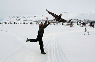 Biologist Travis Booms releases an eagle