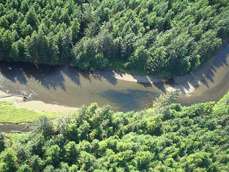 Pink salmon hold in a pool in the Harris River one of Prince of Wales larger pink salmon systems