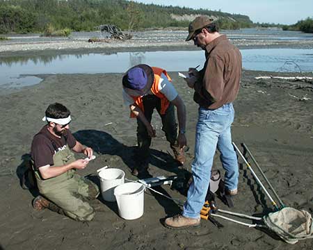 J Johnson and Joe Buckwalter measuring fish with the help of the helicopter pilot