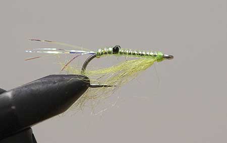 The Krystal Shrimp