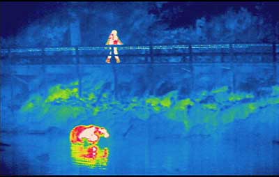 A FLIR image of a person on the Port Armstrong boardwalk with a bear below in the beach Infrared imagery registers contrasts in temperature  Photo by Phil Mooney
