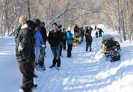 Grayling residents gather along the trail waiting for the bison to be anesthetized and moved to the airstrip