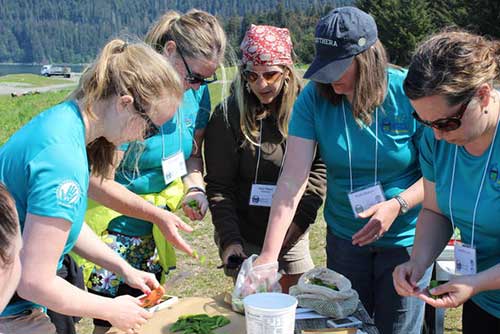 BOW students learn to identify and prepare wild edibles