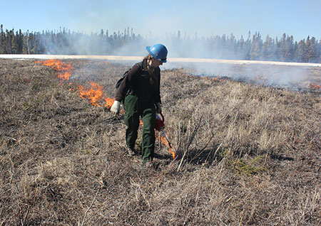 ADFampG forester Sue Rodman puts fire on the ground during a prescribed burn