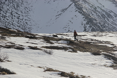 Hunting upland birds in Southcentral Alaska