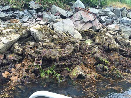 Massive amounts of scrap metal dumped in Whiting Harbor in the decades after World War II interfered with the divers39 compasses making swimming transects a challenge