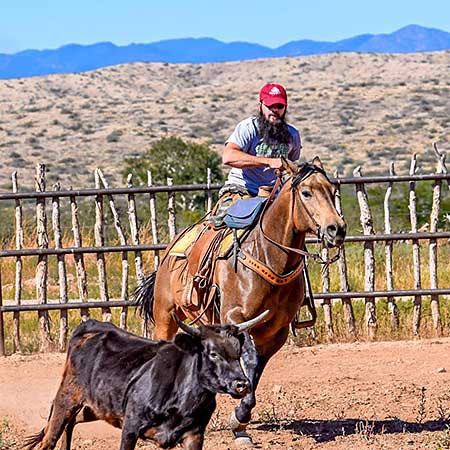 Tom McCrae rodeo riding