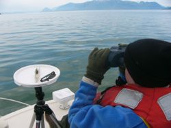 Kira Pontius using binoculars to spot murrelets at the mouth of Snittisham Inlet