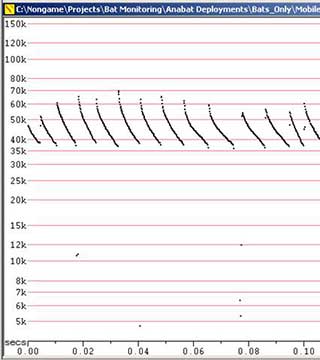 A bat sonogram  a visual representation of a bat call the vertical axis represents the frequency the horizontal axis the duration